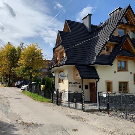 Appartamento Dzika Owca Zakopane Esterno foto