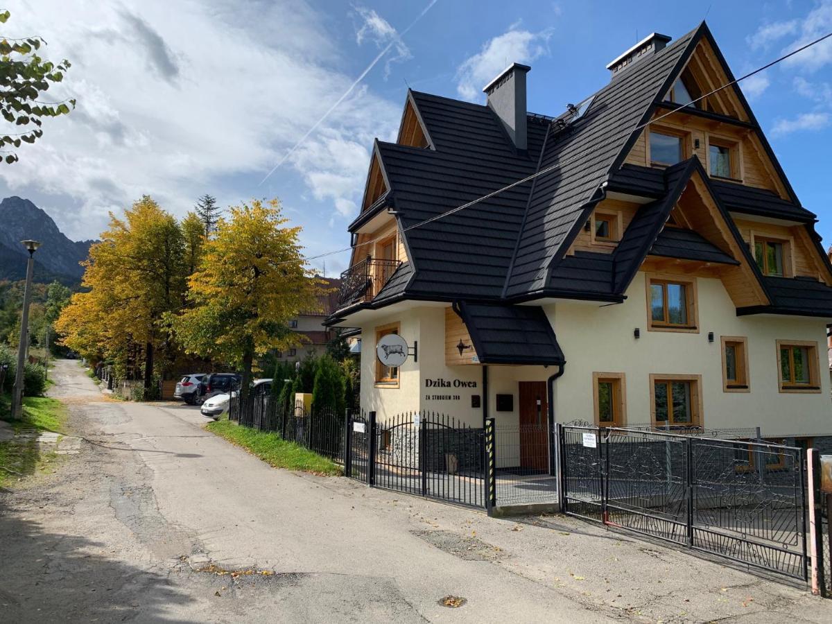 Appartamento Dzika Owca Zakopane Esterno foto